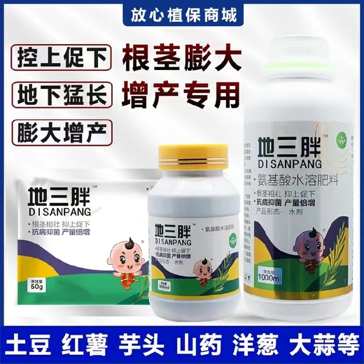 地三胖,抗逆增產(chǎn)兼顧，降低種植風險?