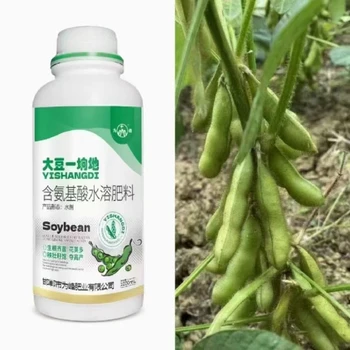 為峰肥業(yè)大豆一坰地,?；ūＧv，確保大豆籽粒飽滿