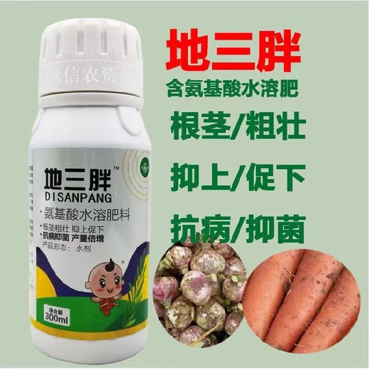 地三胖,抗逆增產(chǎn)兼顧，降低種植風(fēng)險(xiǎn)?,中藥材根莖塊