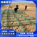 hdpe防風(fēng)阻沙網(wǎng)防風(fēng)固沙網(wǎng)廠家防沙網(wǎng)