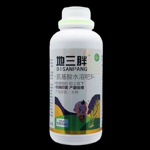 地三胖,控上促下防裂畸鱗莖膨大提質(zhì)產(chǎn)?,人參，黨參藥材等