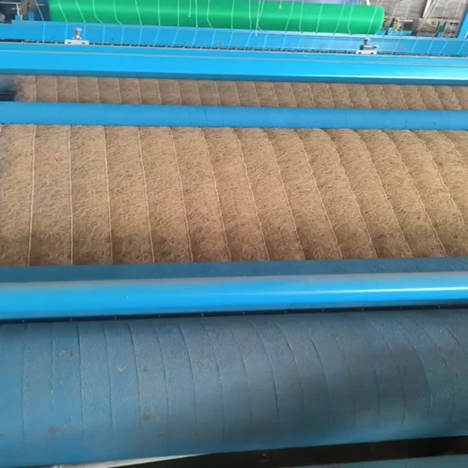 植草護(hù)坡植生毯植物纖維毯廠家