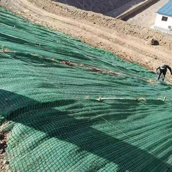 植生毯可以帶草籽嗎