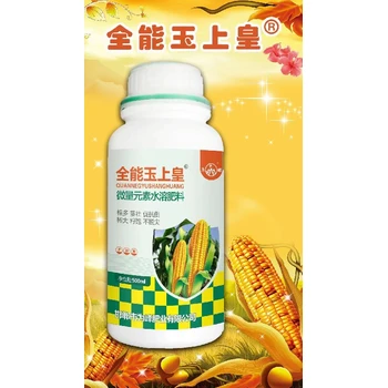 玉米金大棒廠家,抗倒伏拉長(zhǎng)棒穗，粒飽無禿尖?