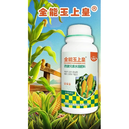 玉米金大棒廠家,壯稈抗倒伏，棒大粒飽滿?