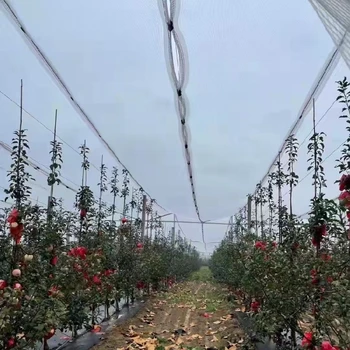 抗UV防雹網(wǎng)防雹網(wǎng)批發(fā)廠家直供果園冰雹防護(hù)網(wǎng)