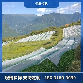 防曬柱帽大棚防雹網(wǎng)加厚方格型尺寸定制冰雹網(wǎng)
