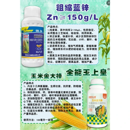 為峰玉米金大棒,強(qiáng)稈抗倒促授粉棒大粒飽無(wú)禿尖