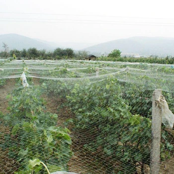 防雹網(wǎng)防雹護(hù)果穩(wěn)產(chǎn)增收果園防雹網(wǎng)防雹子網(wǎng)