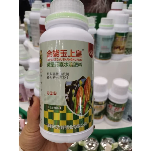 玉米金大棒怎么購買,稈壯穩(wěn)植株，授粉飽棒大不禿尖