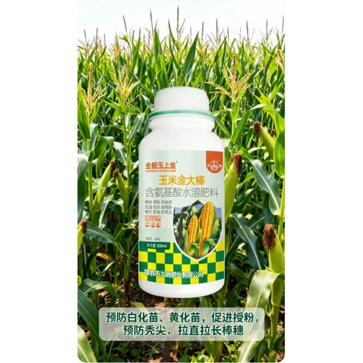 玉上皇,莖稈硬實抗倒，授粉好棒大粒滿,玉米金大棒批發(fā)