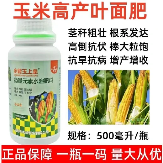 玉米金大棒廠家,長效壯稈抗倒伏，棒大粒飽無禿尖