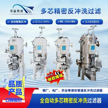 多芯過(guò)濾器多芯全自動(dòng)反沖洗過(guò)濾器精密多芯機(jī)體反沖洗過(guò)濾器