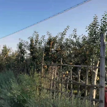 圓管柱帽立柱帽防雹網(wǎng)配件冰雹網(wǎng)