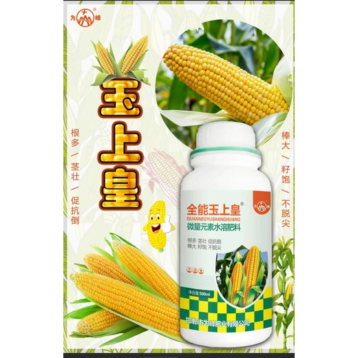 為峰玉米金大棒,稈壯抗倒好，授粉好棒大不禿尖