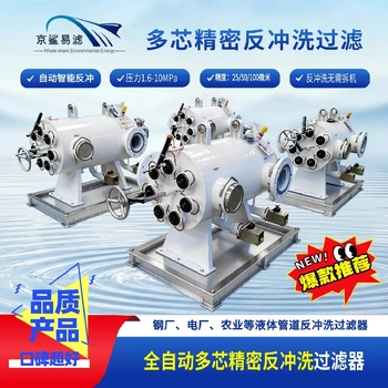 京鯊易濾全自動(dòng)礦用精密多芯反沖洗過(guò)濾站京鯊易濾過(guò)濾器
