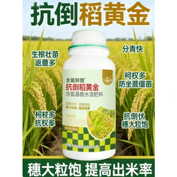 稻黃金,防坐蔸壯株型，抗倒穗大粒飽高產(chǎn),稻黃金價格