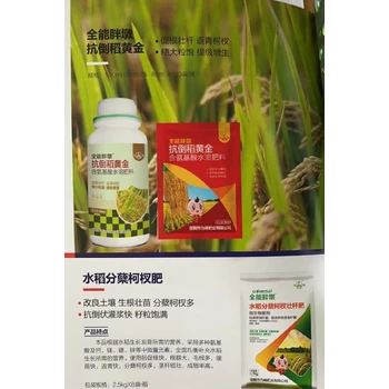 稻黃金,防坐蔸壯株型，抗倒穗大粒飽高產(chǎn),稻黃金價格