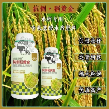稻黃金,分蘗繁茂返青快，抗倒穗大粒滿?,稻黃金正品