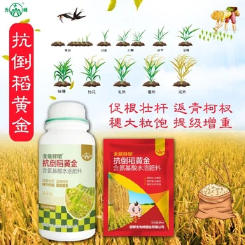 稻黃金,分蘗繁茂返青快，抗倒穗大粒滿?,稻黃金正品