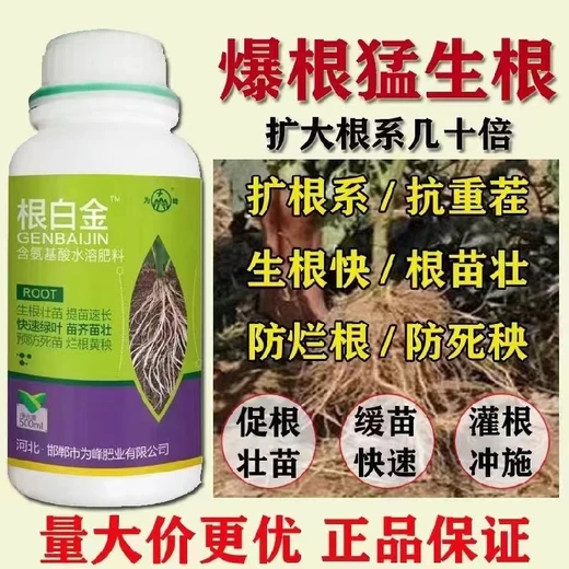 為峰根白金,提高移栽成活率，苗齊苗壯勢強(qiáng)