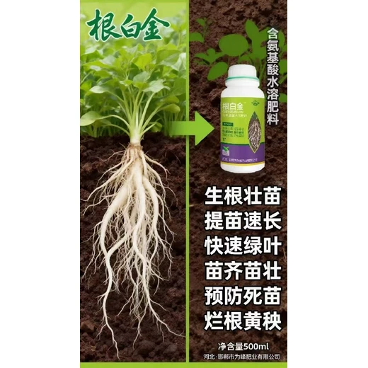 根白金廠家,強力促根，主壯毛細群勢大