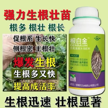 為峰肥業(yè)根白金,極速生根，主粗須密群勢盛,根白金效果好