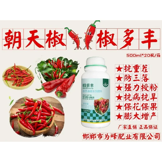 拉直催紅防落，兼顧果形品質(zhì)?,椒多豐