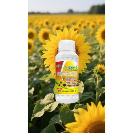 快長(zhǎng)葵花價(jià)格,促葵花授粉，莖粗粒飽盤(pán)碩大?