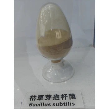 秦皇島枯草芽孢桿菌生產(chǎn)廠家