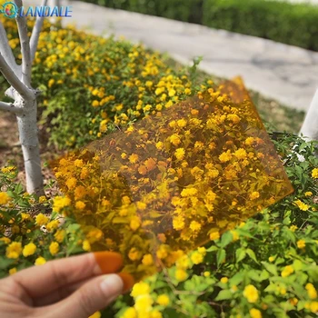 鹽城熱成型加工耐力板雕刻切割工藝,PC板