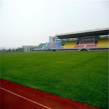 江西綠化草皮種子冰草+多少錢一斤