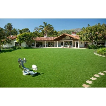 江西綠化草皮種子冰草+多少錢一斤