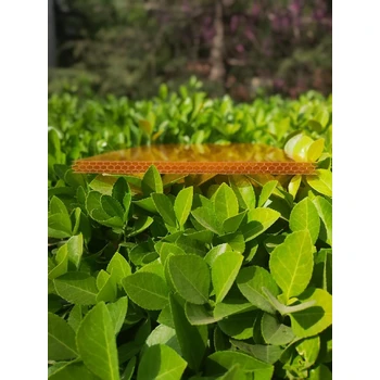 陽光板來圖定制透明陽光板廠家