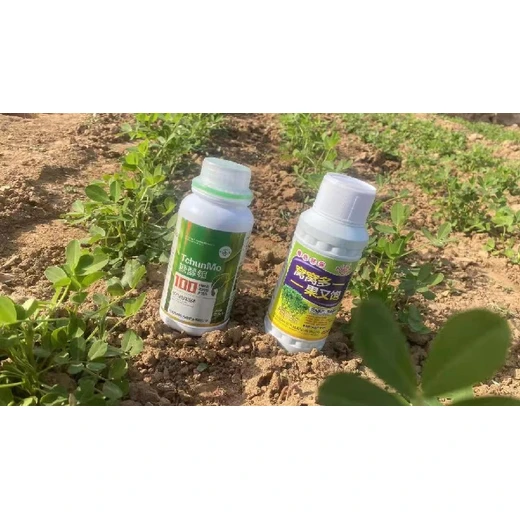 花生粒粒飽,保花保果下針，增加有效雙仁果,為峰窩窩多怎么購買