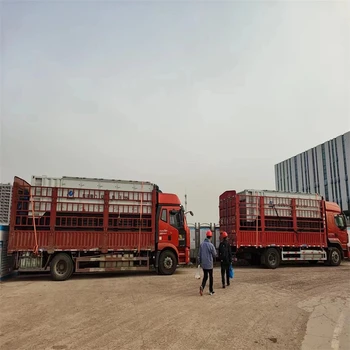 楚雄姚安縣高壓負(fù)載箱租賃負(fù)載箱出租