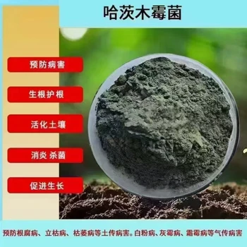 哈茨木霉菌廠家價格濟寧金益菌生物