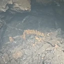 江蘇使用二氧化碳?xì)怏w爆破一次性氣體爆破
