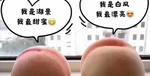 2026年5月口碑好的陽山水蜜桃/當(dāng)季水蜜桃廠家推薦無錫綠滿枝農(nóng)業(yè)發(fā)展有限公司