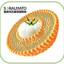 SORALMATO水晶白番茄果提取物SORALMATO白番茄濃縮粉