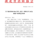 2026第八屆湖北國(guó)際消防展覽會(huì)，減災(zāi)救援博覽會(huì)
