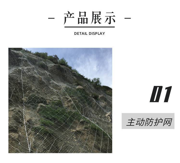 47157.jpg@750w_750h_90Q