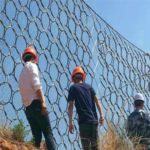 邊坡支護(hù)被動(dòng)防護(hù)網(wǎng)鋼絲繩網(wǎng)環(huán)形護(hù)坡網(wǎng)邊坡防護(hù)網(wǎng)實(shí)體工廠