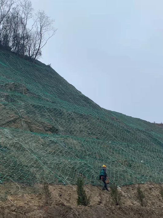 57821.jpg 229584324.jpg