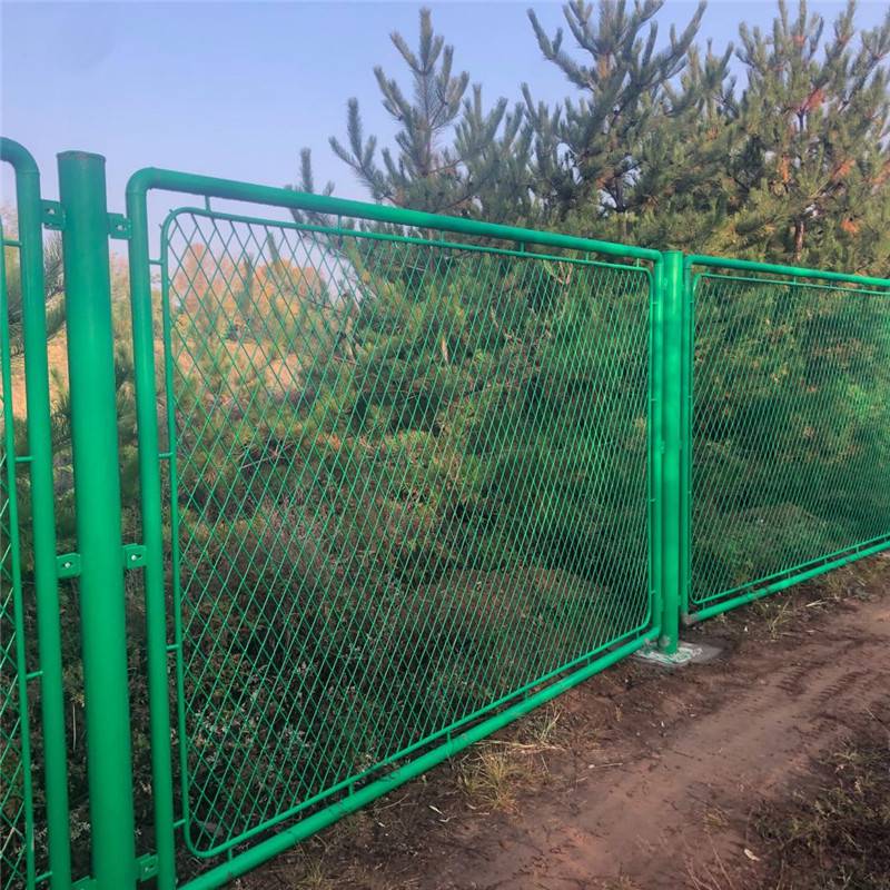 54167.jpg 233033234.jpg