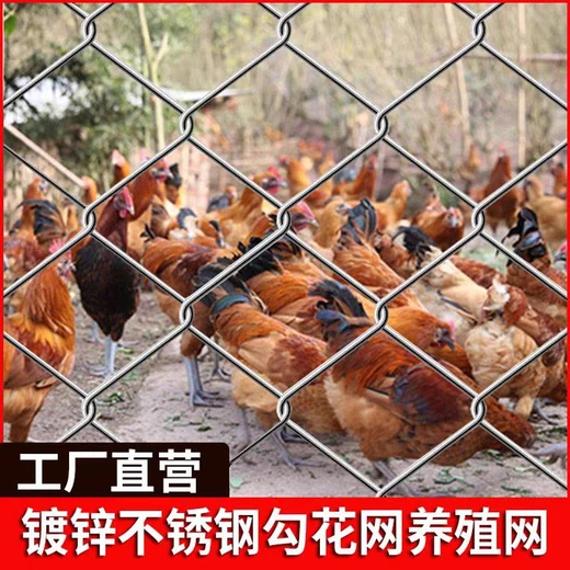 涼山州牧場圈地鋼絲圍網(wǎng)熱鍍鋅勾花護(hù)欄網(wǎng)養(yǎng)殖場圈山圍地鐵絲網(wǎng)