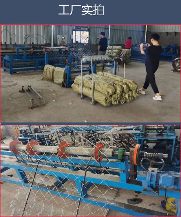 49305.jpg@750w_750h_90Q