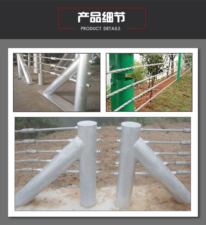 47920.jpg@750w_750h_90Q