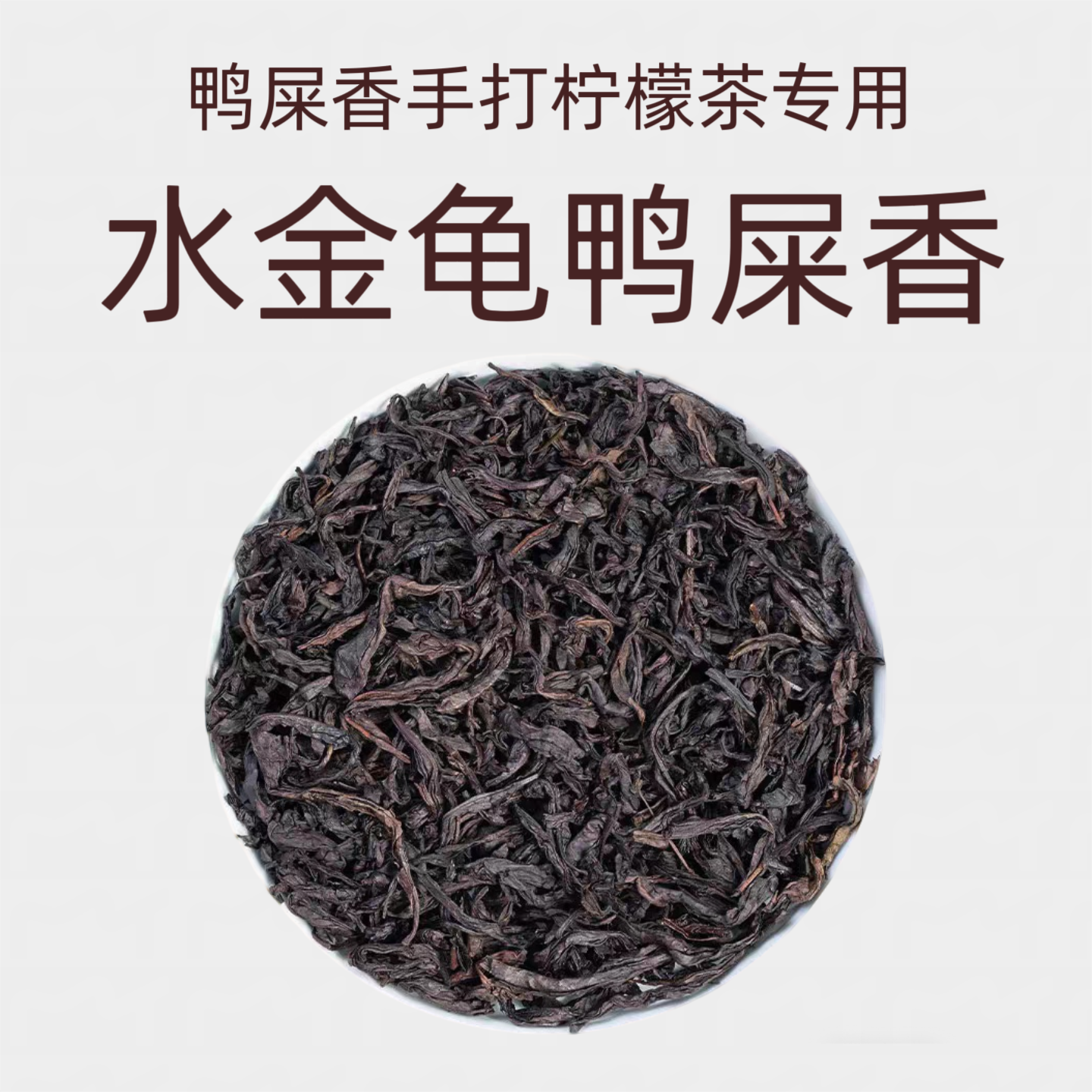水金龟.png