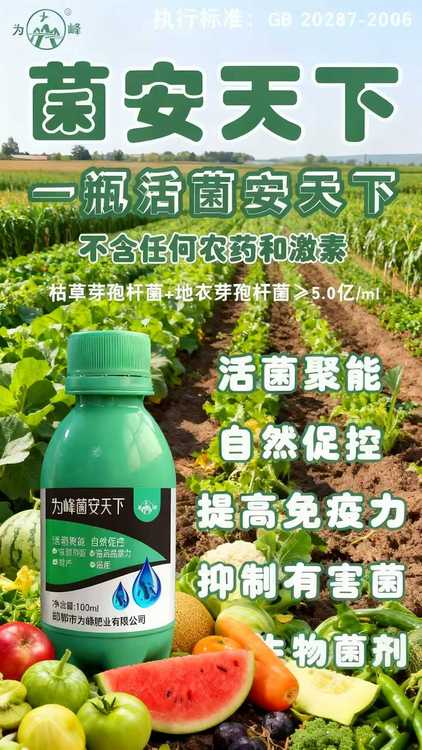 11446.jpg@750w_750h_90Q